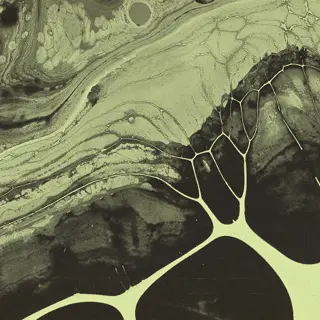 business & innovation